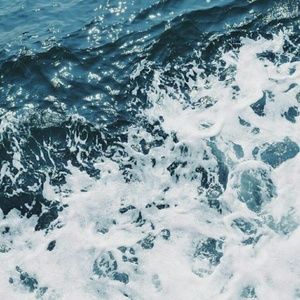 Meet your Posher, Kait